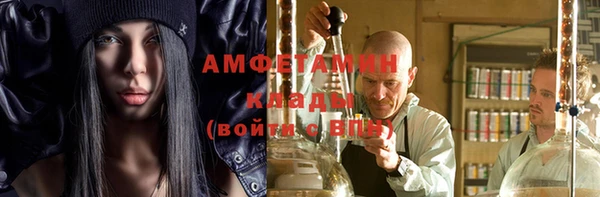 гидра Алексин