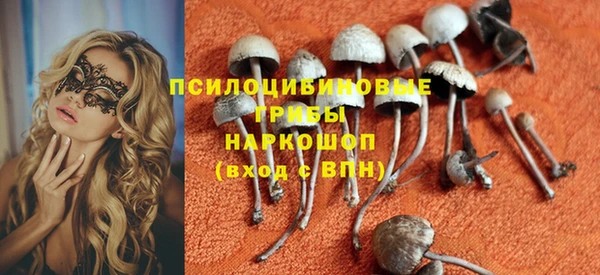 МДПВ Сосновый Бор