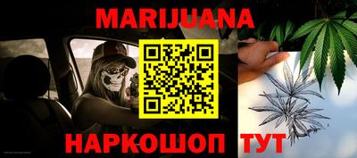 индика Пугачёв