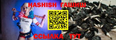 индика Пугачёв