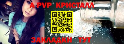 индика Пугачёв