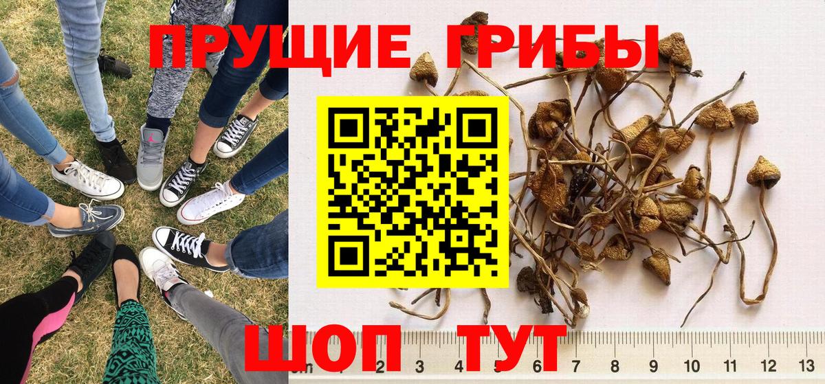 Псилоцибиновые грибы ЛСД Тобольск